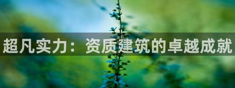 谈球吧官网在线入口免费观看高清