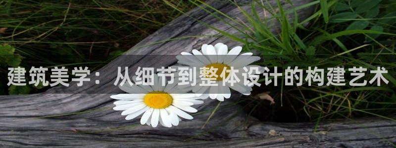 谈球吧app下载安装