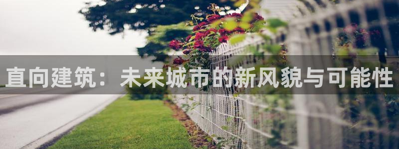 谈球吧官网在线入口免费观看视频