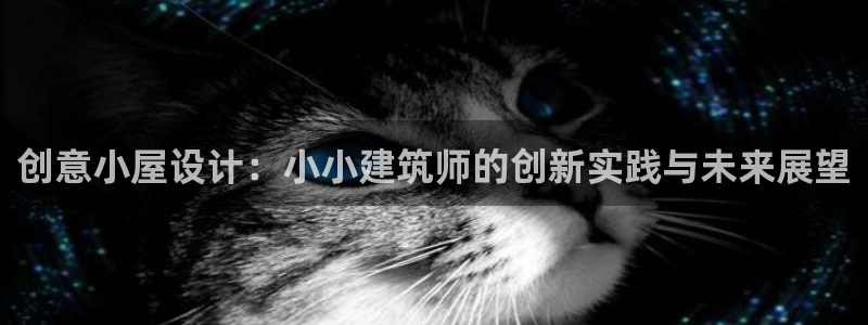 谈球吧体育app下载中心在哪