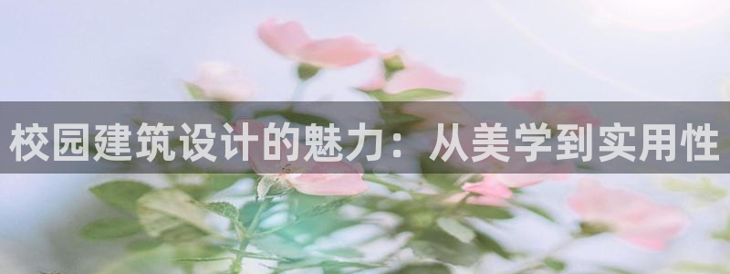 谈球吧的聊天软件有哪些