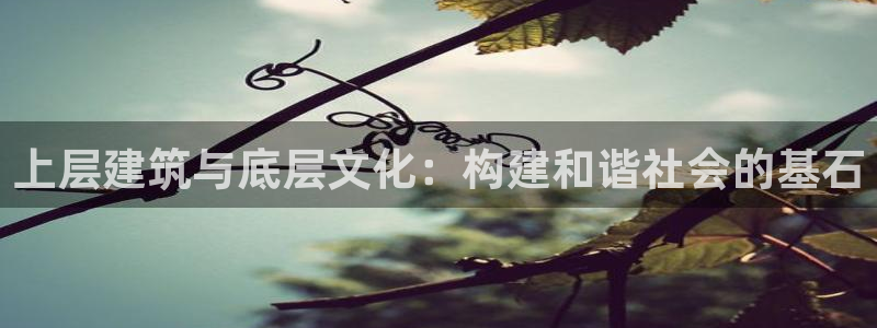 谈球吧算违法行为吗知乎