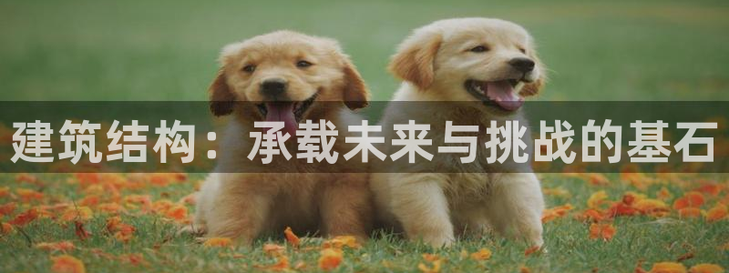 谈球吧算违法行为吗知乎