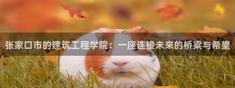 谈球吧平台正规吗可靠吗安全吗