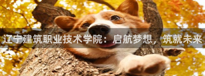 谈球吧的聊天软件叫什么来着