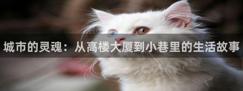 谈球吧平台app下载网址是什么