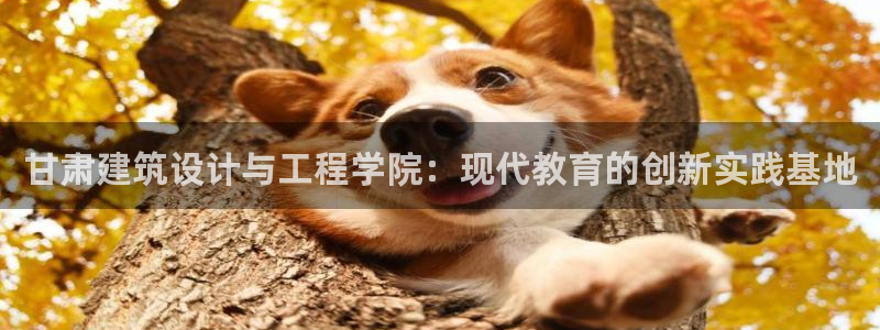 谈球吧官网在线入口手机版下载苹果