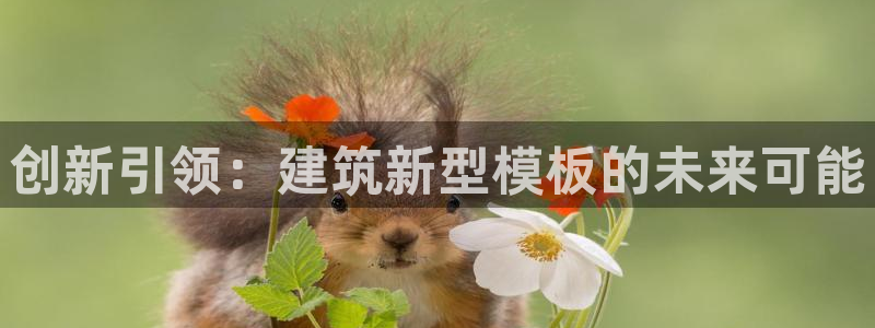 谈球吧买球提现
