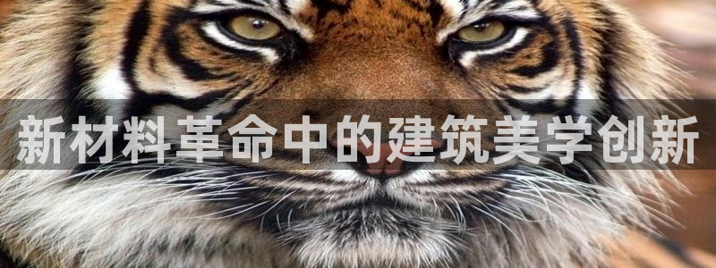 谈球吧真人