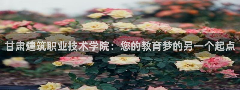 谈球吧平台正规吗可信吗安全吗