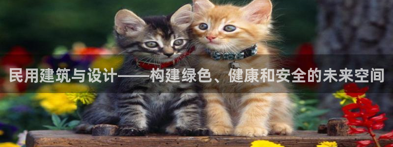 谈球吧综合官网app