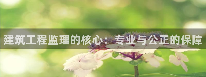 谈球吧算违法行为吗