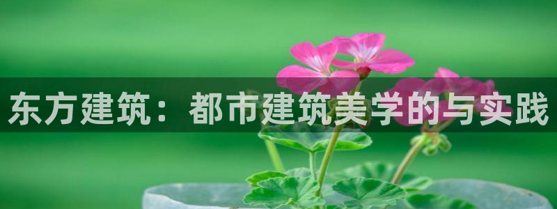 谈球吧nba