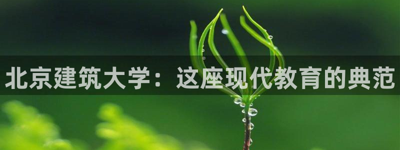 谈球吧app赛事分析报告