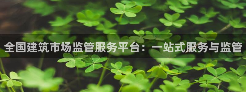 谈球吧体育app登陆不了：全国建筑市场监管服务平台：一站式服务与监管