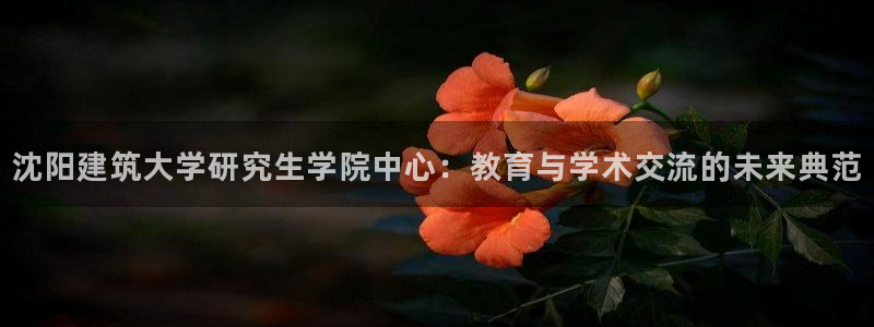 谈球吧在线登录免费观看