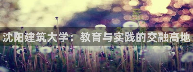 谈球吧app靠谱吗