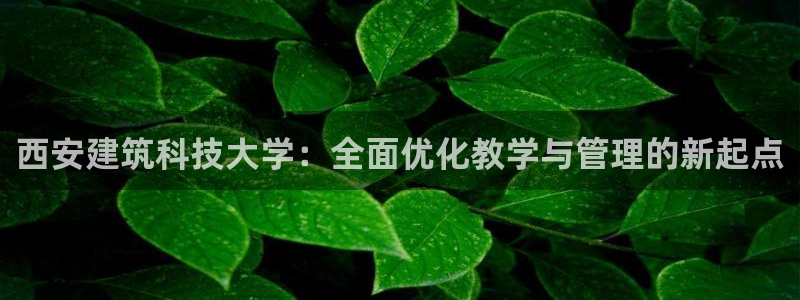 谈球吧综合官网app