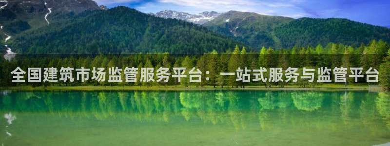谈球吧的聊天软件叫什么来着：全国建筑市场监管服务平台：一站式服务与监管平台