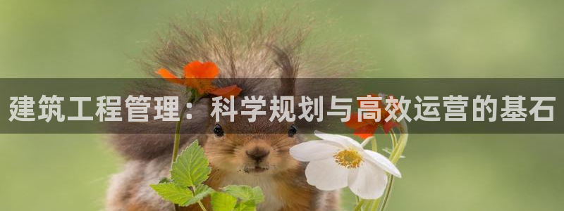 谈球吧是黑台子吗是真的吗