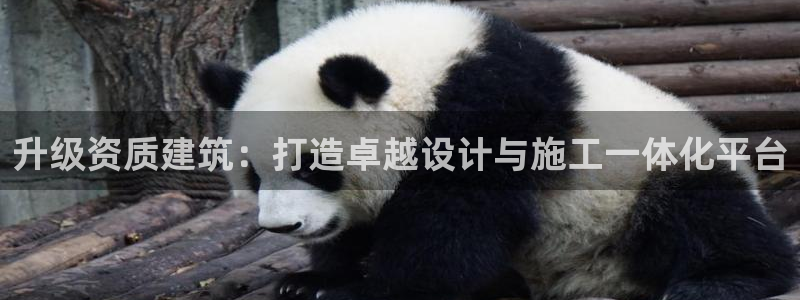 谈球吧体育app下载中心官网