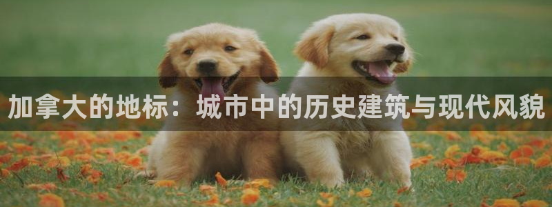 谈球吧体育ios下载