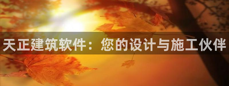 谈球吧体育app下载官网手机版苹果