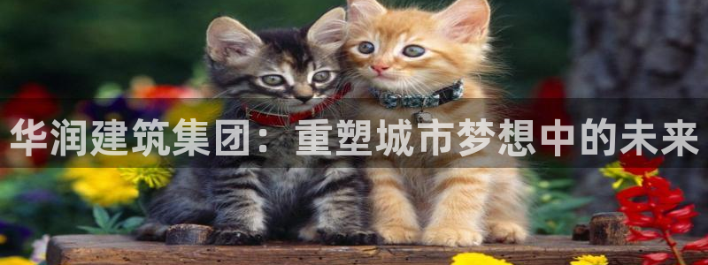 谈球吧是黑台子吗还是白台子好