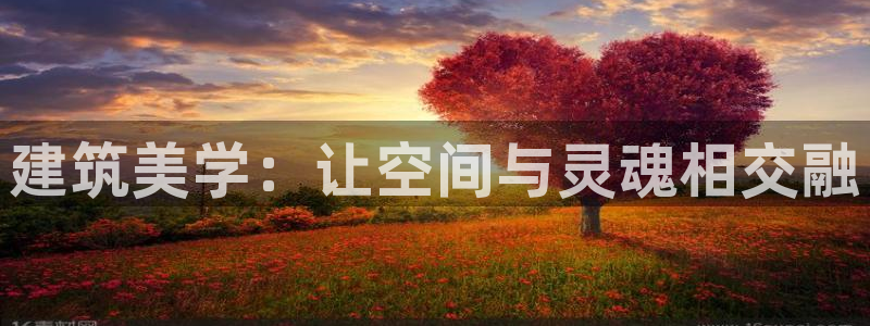 谈球吧体育官网在线入口免费观看