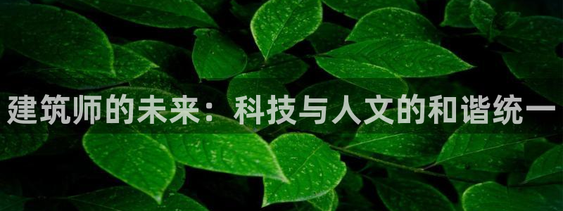谈球吧官网在线入口手机版