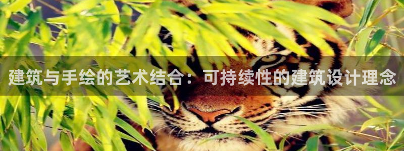 谈球吧体育app下载中心官网