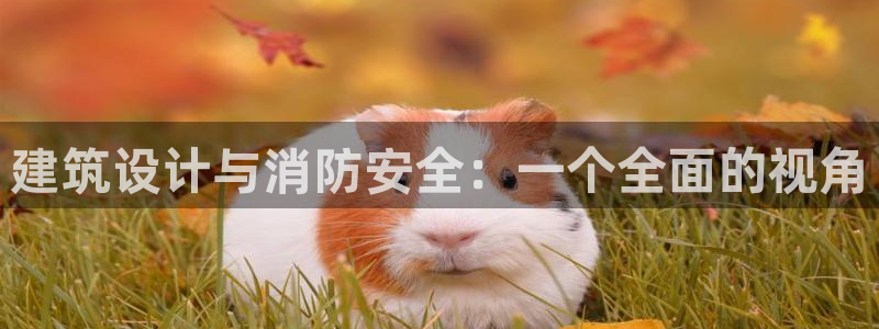 谈球吧体育在线