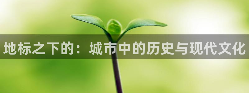 谈球吧官网首页