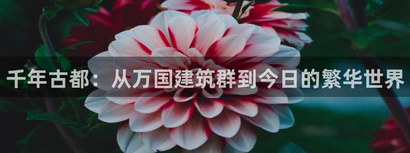 谈球吧官网在线入口手机版下载