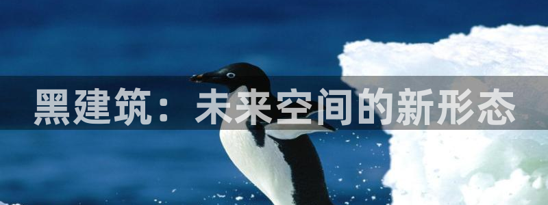 谈球吧登录地址