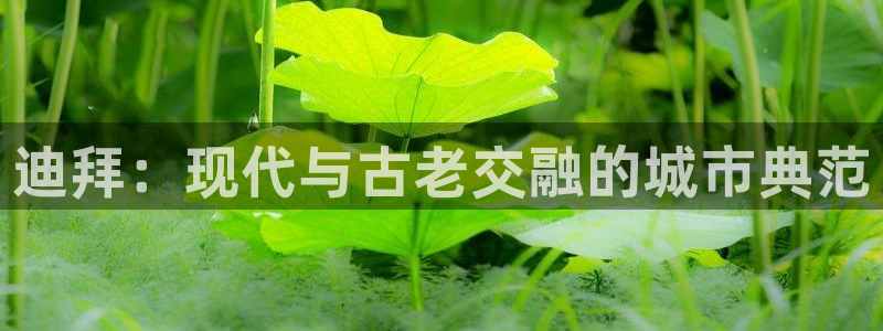 谈球吧网app官网下载