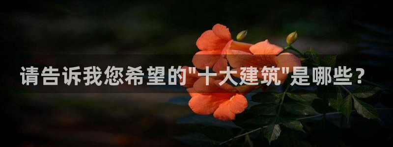 谈球吧APP入口