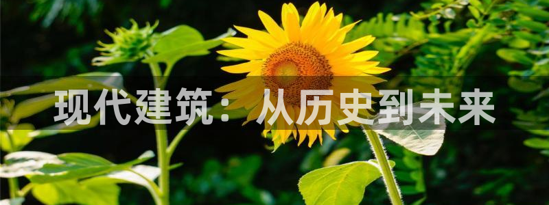 谈球吧在线观看