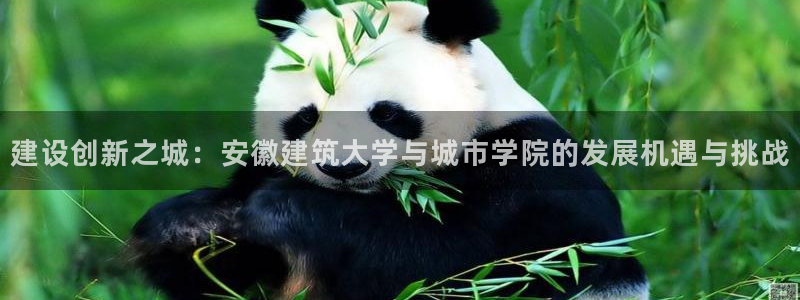 谈球吧app赛事分析报告模板