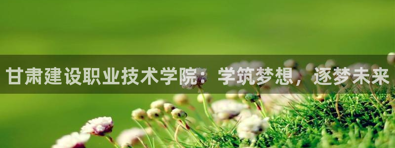 谈球吧体育官网在线入口免费观看