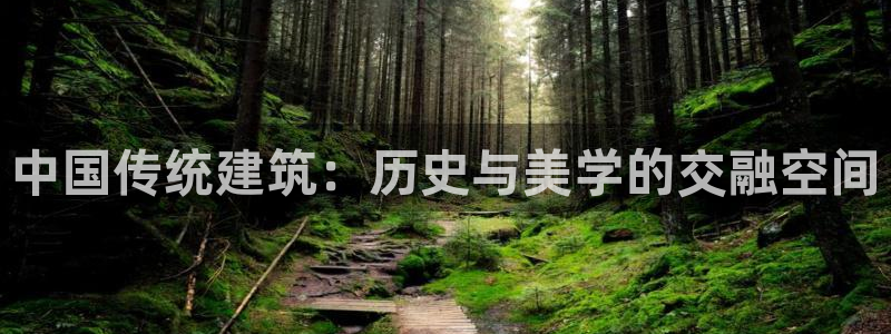 谈球吧的聊天软件下载