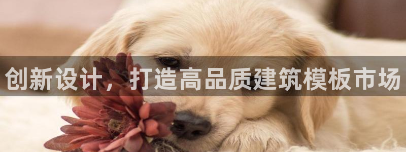 谈球吧网页版在线入口