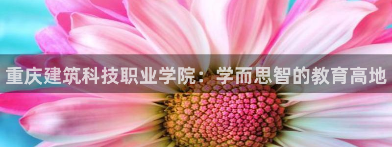 谈球吧体育app下载足球直播