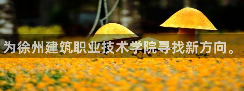 谈球吧属于哪个旗下