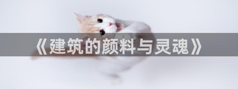 谈球吧全站app下载手机版