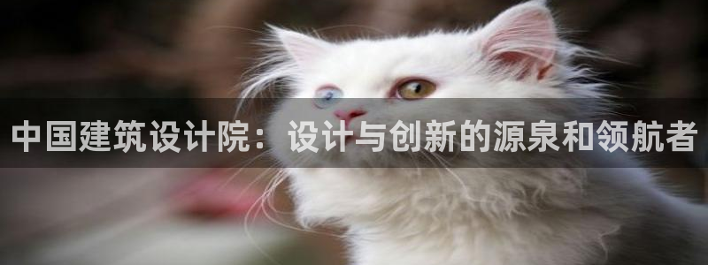 谈球吧能提现不